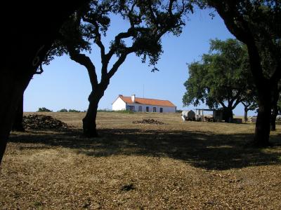 Farm/Ranch For sale in Sines, Sines, Portugal - Porto Covo